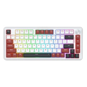 کیبورد گیمینگ مکانیکال با سیم ردراگون مدل Stormhunter K721 WRB RGB